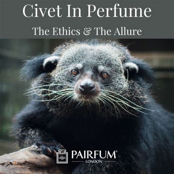 Is civet cat in cigarettes?