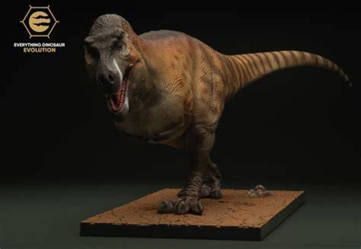 Is Ed-E or Rex better?