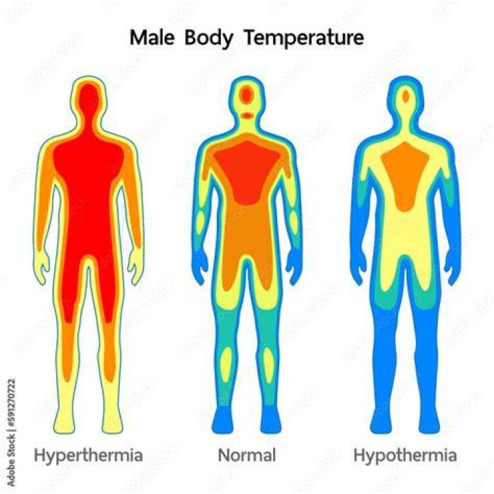 Is heat or cold harder on the body?