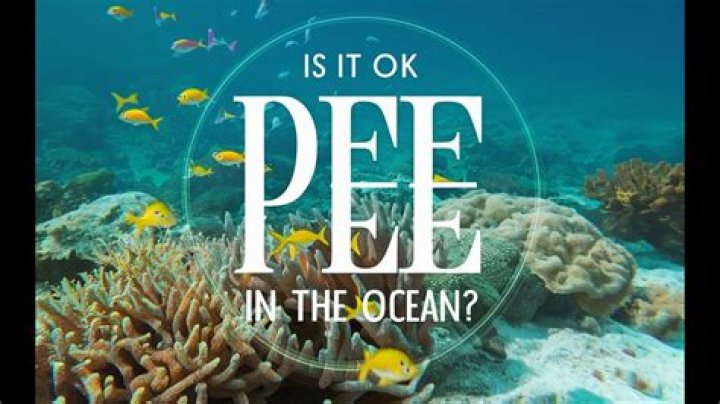 Is it OK to pee in the sea?