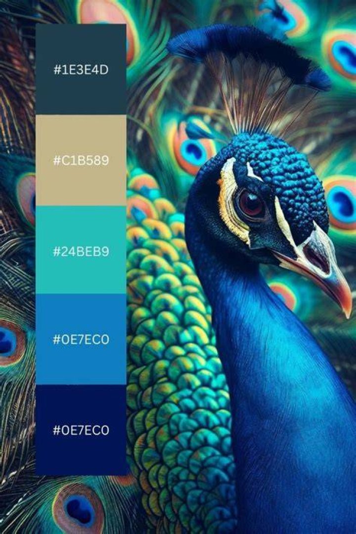 Is peacock blue the same as teal?