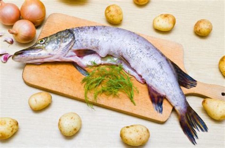Is pike good to eat?