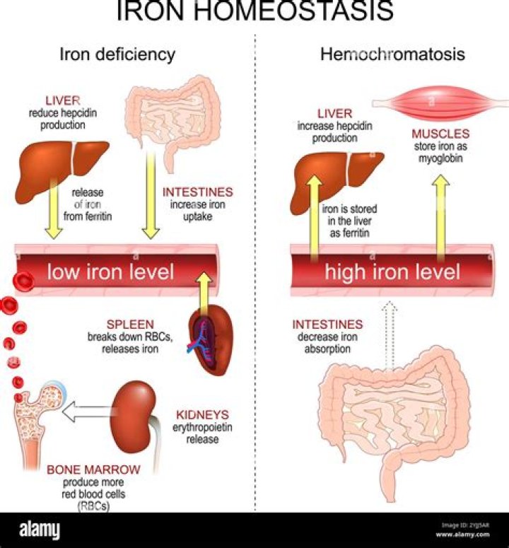 Is rice OK for hemochromatosis?