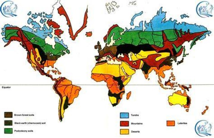 Is Russian soil fertile?