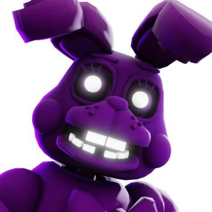 Is Shadow Bonnie a glitch?