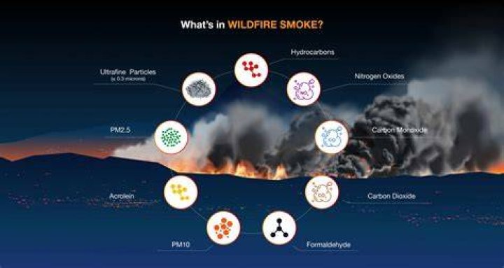 Is smoke from fire good for you?