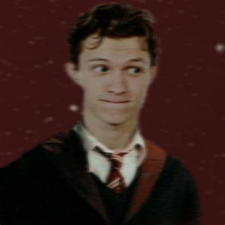 Is Tom Holland a Gryffindor?
