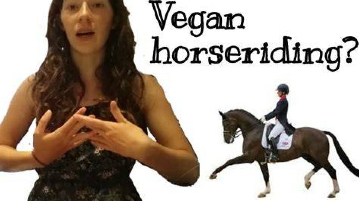 Should vegans ride horses?