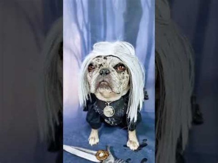 Was Pug Henry a real person?