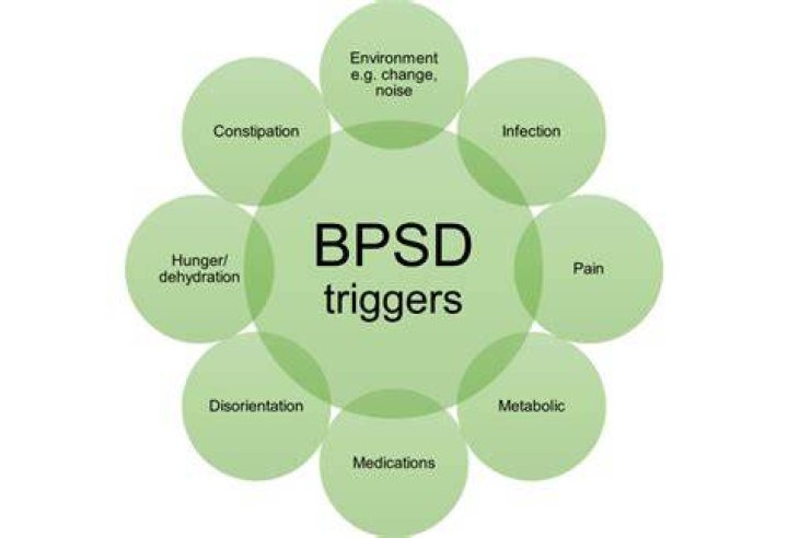 What are common behavioral triggers for patients with dementia?