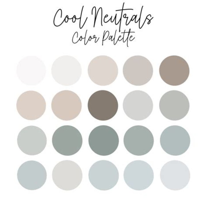 What are cool neutral colors?