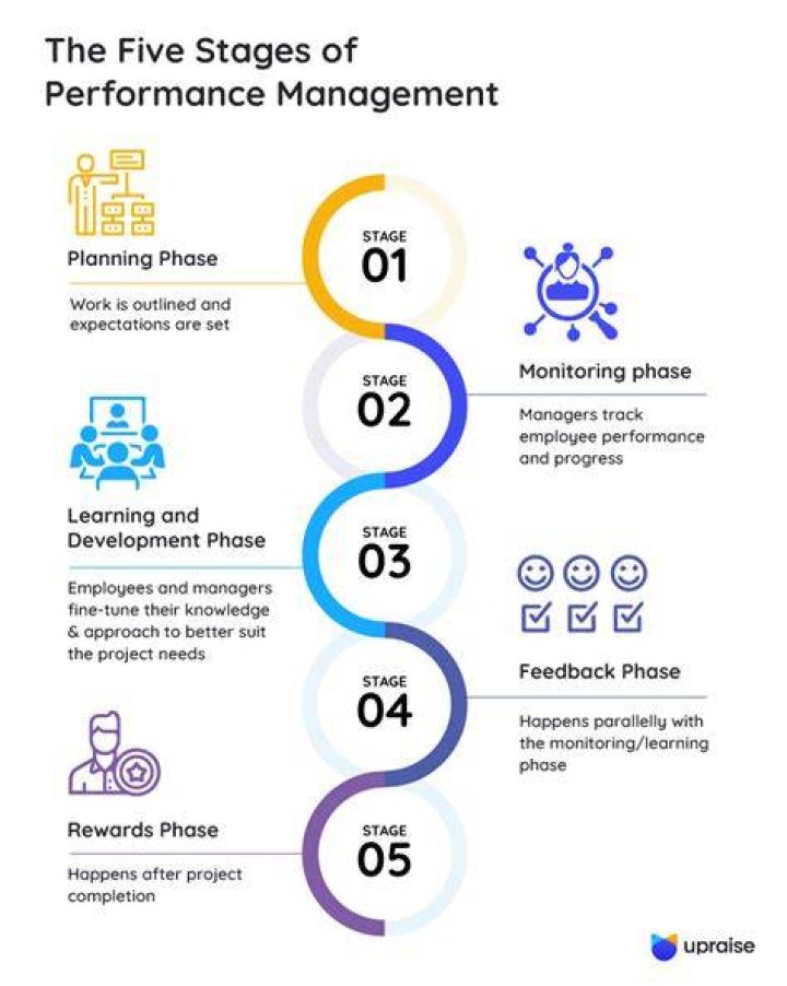 What are the 5 stages of performance management?