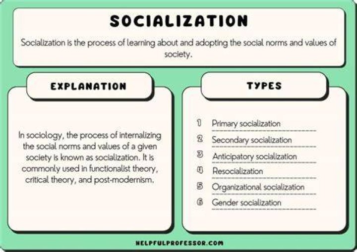 What are the 6 types of socialization?