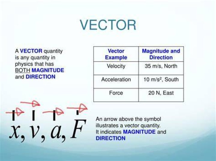 What are vector quantities?
