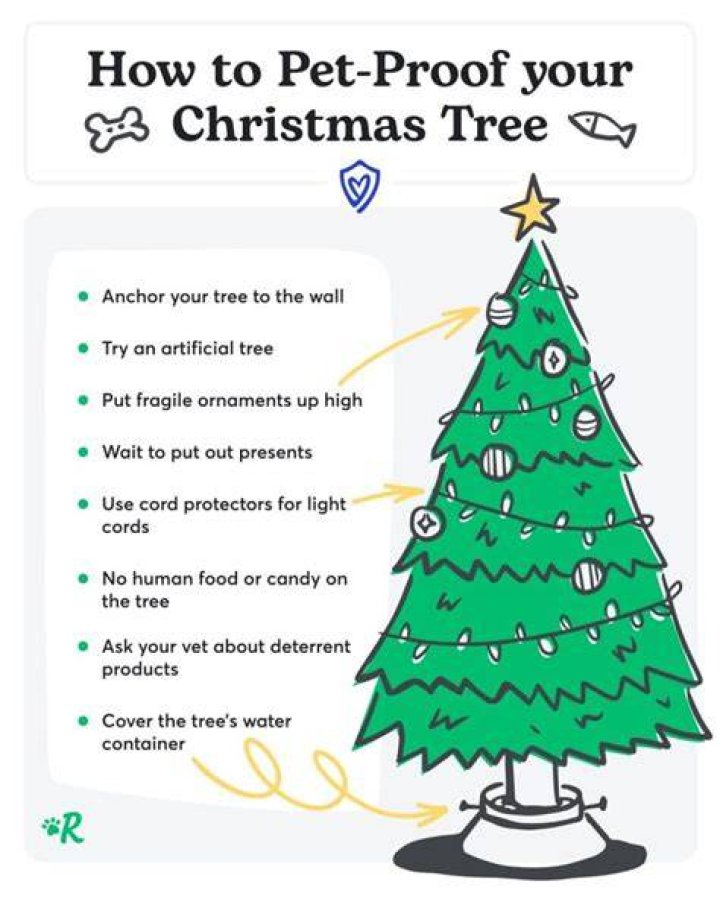 What can I spray on my Christmas tree to keep it alive?