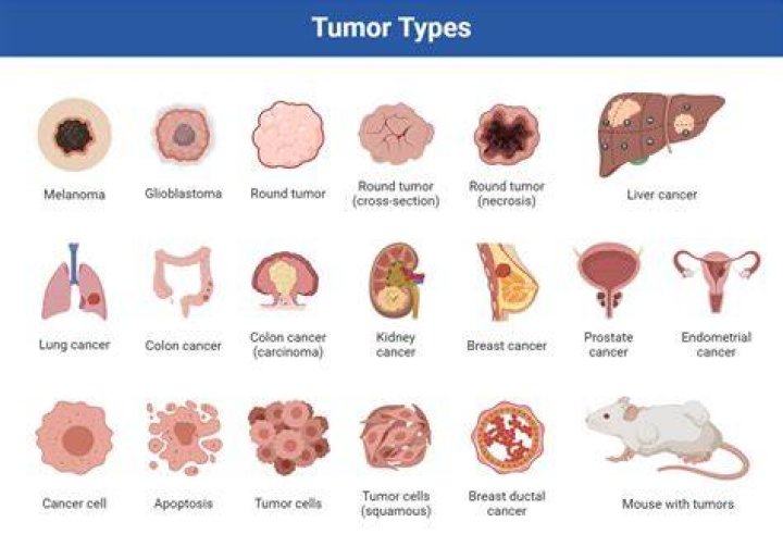 What cancers are slow growing?