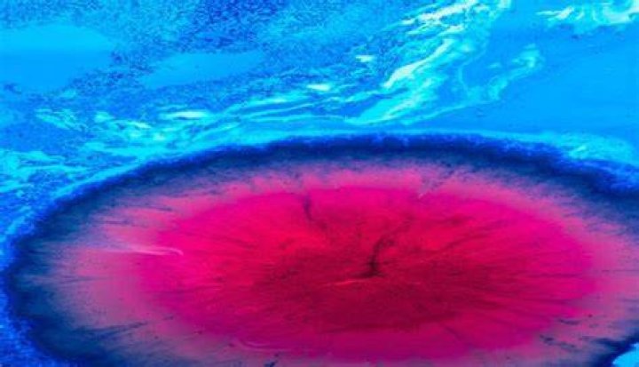 What color improves memory?
