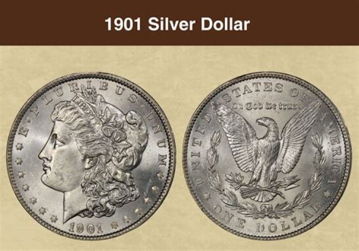 What could a dollar buy in 1920?