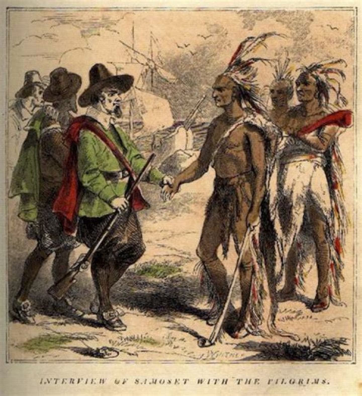 What did the Pilgrims do to the natives?