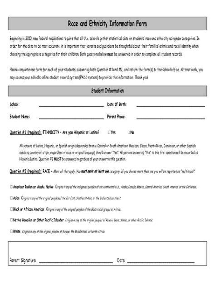 What do I put for ethnicity on an application?