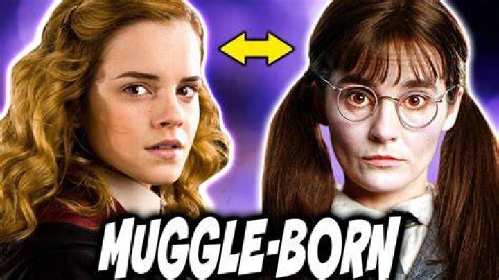 What do you call a half wizard half Muggle?