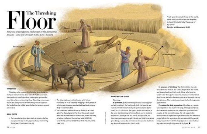 What does the threshing floor look like?
