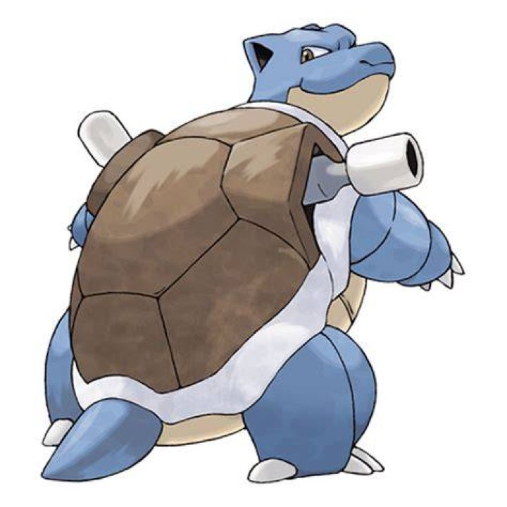What does Tutok look like?