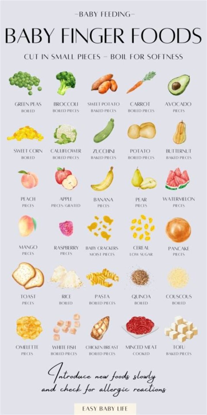 What finger foods can my 7 month old eat?