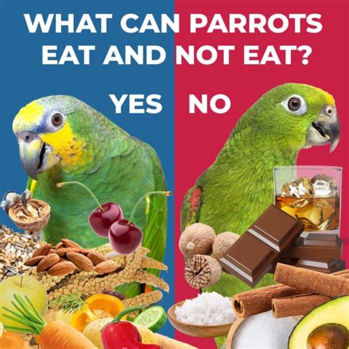 What food kills parrots?
