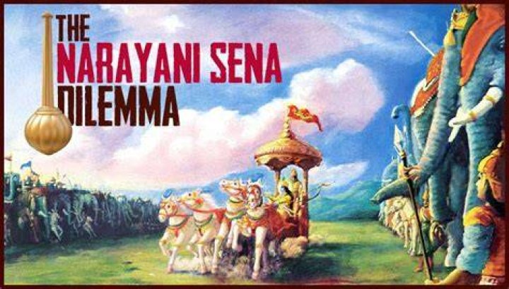 What happened with Narayani Sena in Mahabharata?