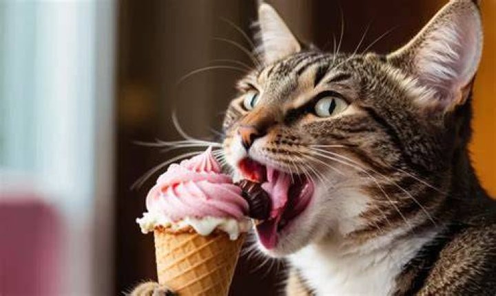 What happens if a cat licks chocolate ice cream?