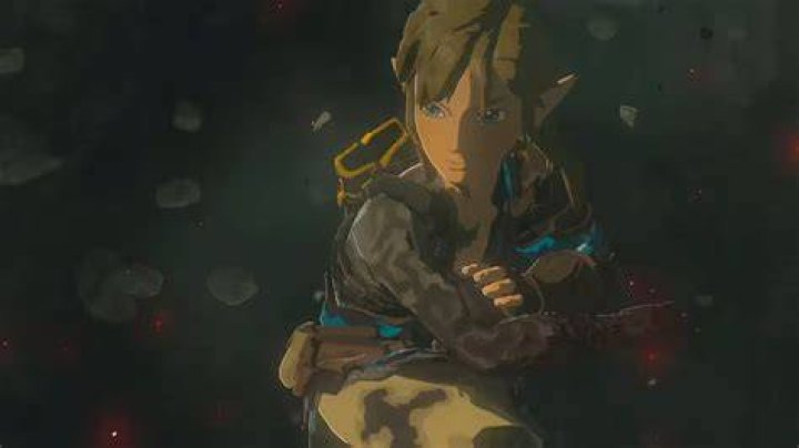What happens to Link's arm?