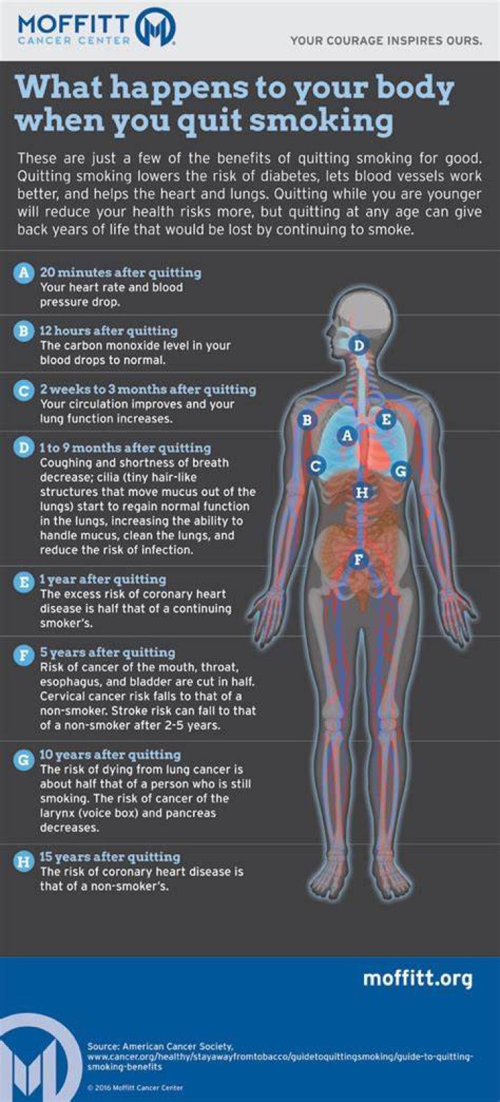 What happens to your body in your sixties?