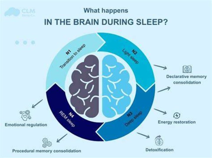 What happens to your brain when you read a lot?