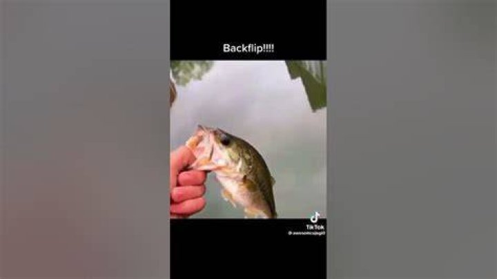 What happens when you throw a fish back?