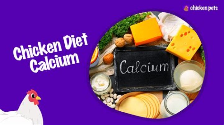 What is a good source of calcium for chickens?