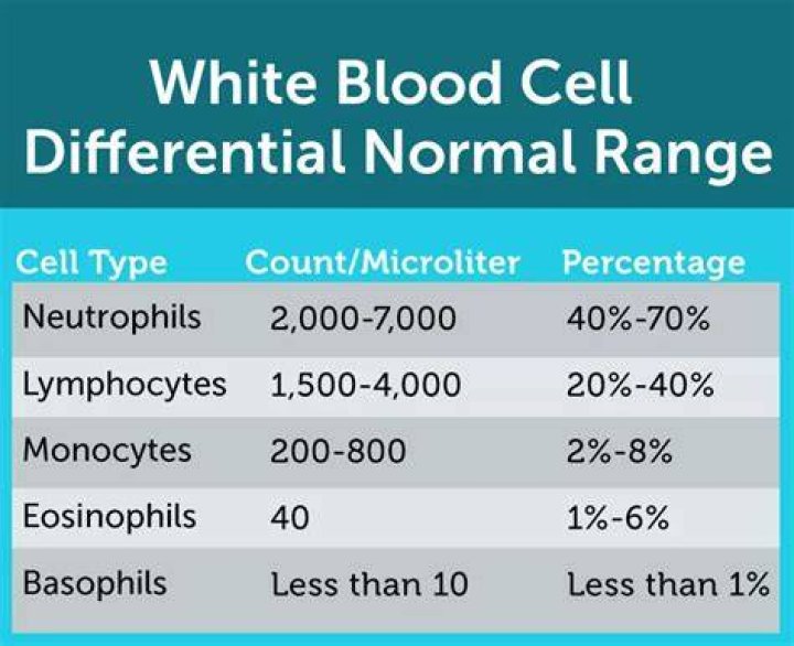What is a normal range for neutrophils?