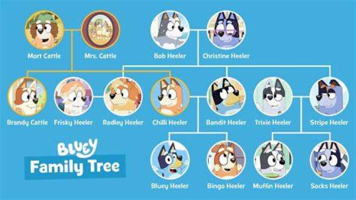 What is Blueys dads name?