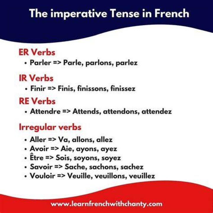 What is imperative in French examples?