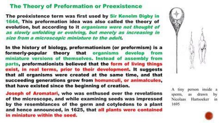 What is preformation in psychology?