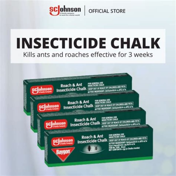 What is Roach chalk?
