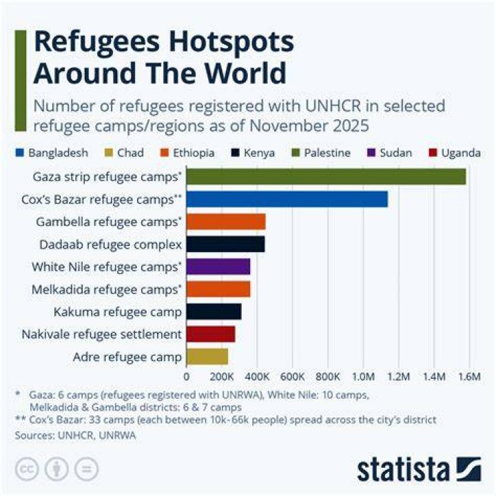 What is the 5 largest refugee camps?