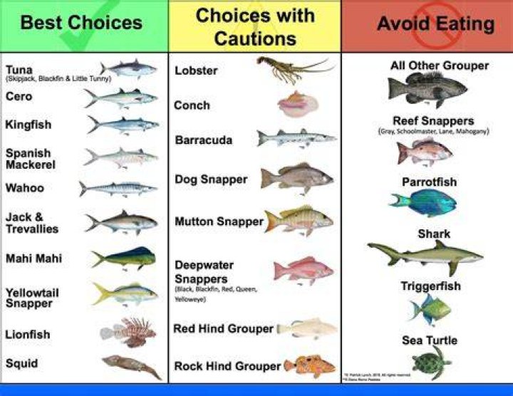 What is the best saltwater fish to eat?