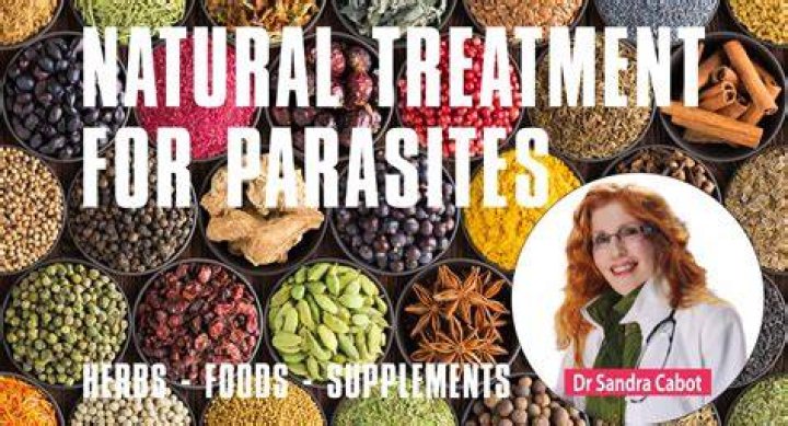What is the best treatment for parasite?