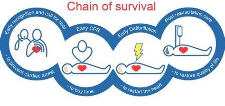 What is the chance of survival after being on a ventilator?