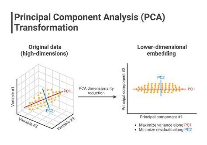 What is the difference between PCA and SVD?