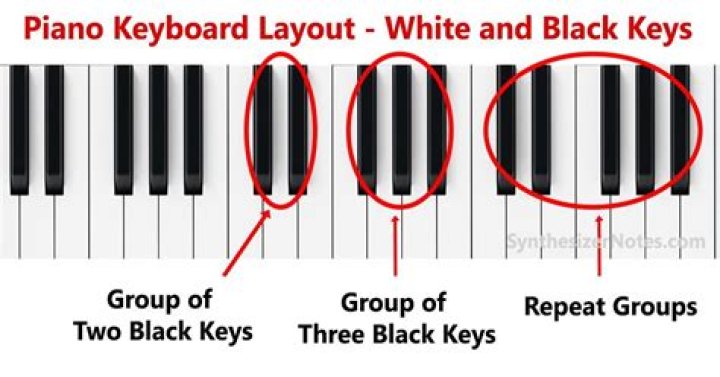 What is the difference between white and black keys on a piano?