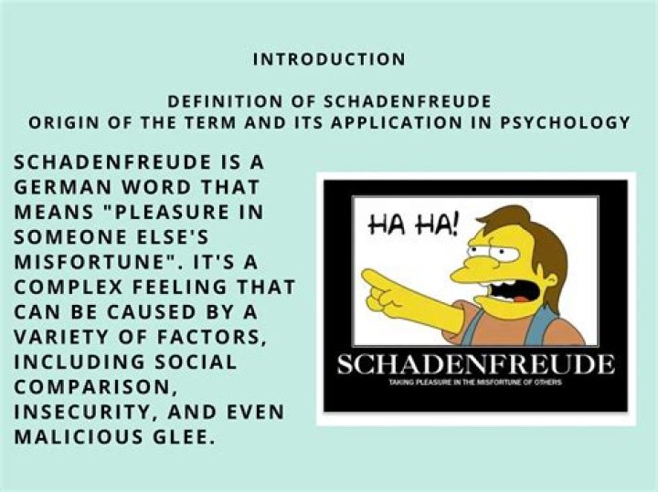 What is the English word for Schadenfreude?
