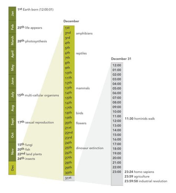 What is the first year of the world?