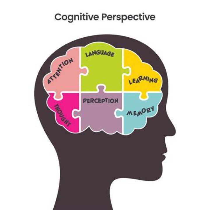 What is the meaning of cognitive aspect?